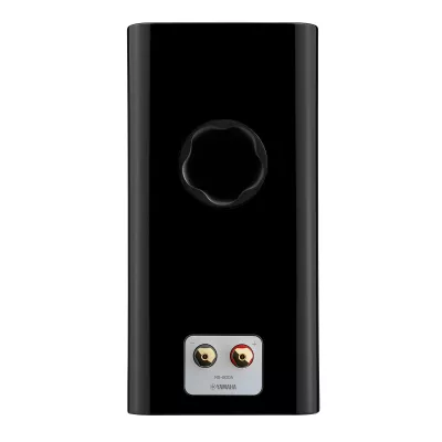 Yamaha NS-800A in Genf | Digistore.ch
